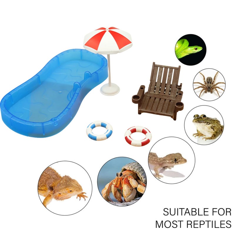 Tree Frog Tank Accessories - Novelty Pool Theme Set Turtle Habitat Decoration Reptile Water Food Bowl for Amphibian Aquatic Frog Toad Lizard Leopard Gecko Hermit Crabs Snake Spider Scorpion (Pool Set) - Image 3